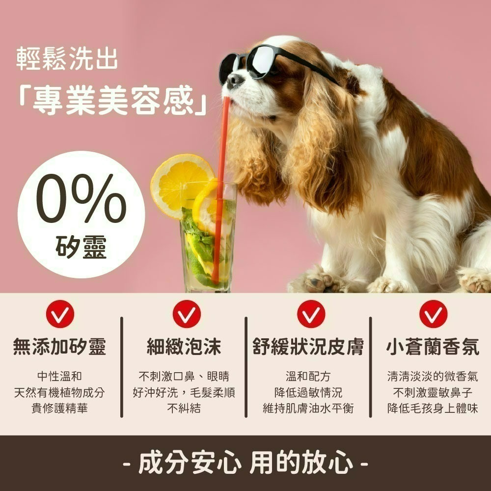 【限時購】【Hello Kitty】小蒼蘭犬貓專用洗毛精-細節圖4