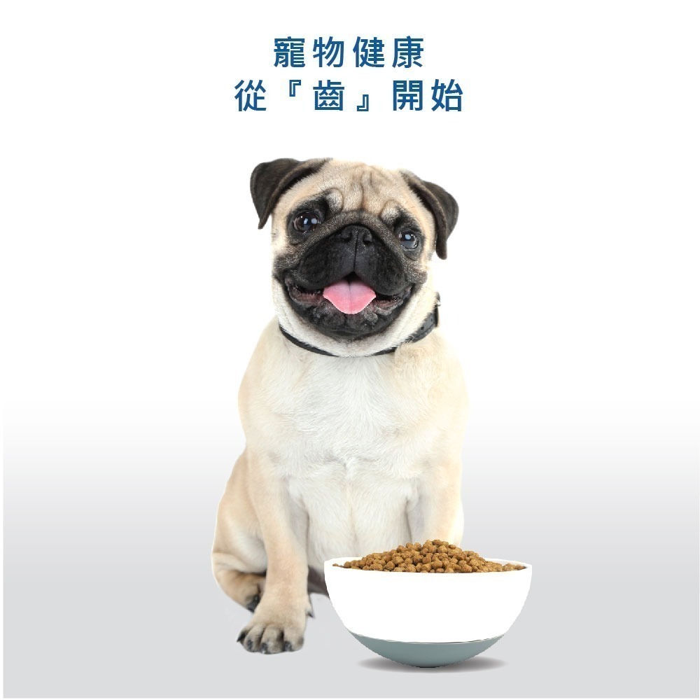 丹DAN狗飼料 成齡犬口腔+皮毛配方20lb羊肉蘋果-細節圖3