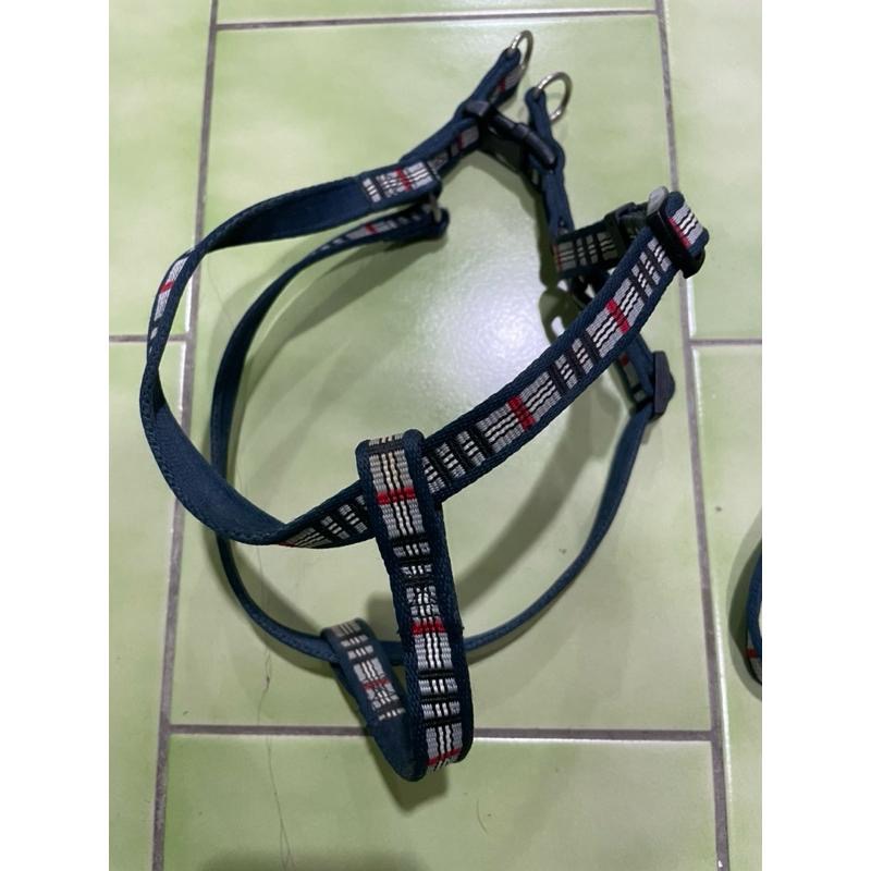 寵物 項圈 背帶 胸背帶 牽繩 狗 犬-細節圖3
