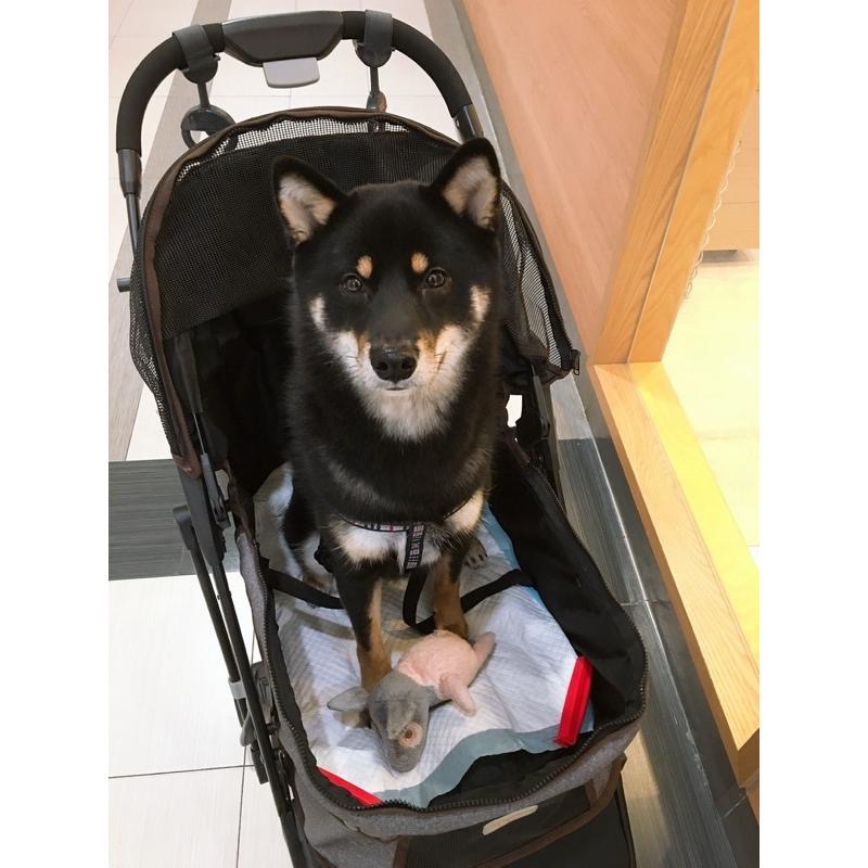 寵物 項圈 背帶 胸背帶 牽繩 狗 犬-細節圖5