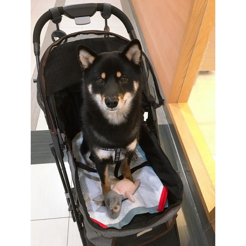 寵物 項圈 背帶 胸背帶 牽繩 狗 犬-細節圖5