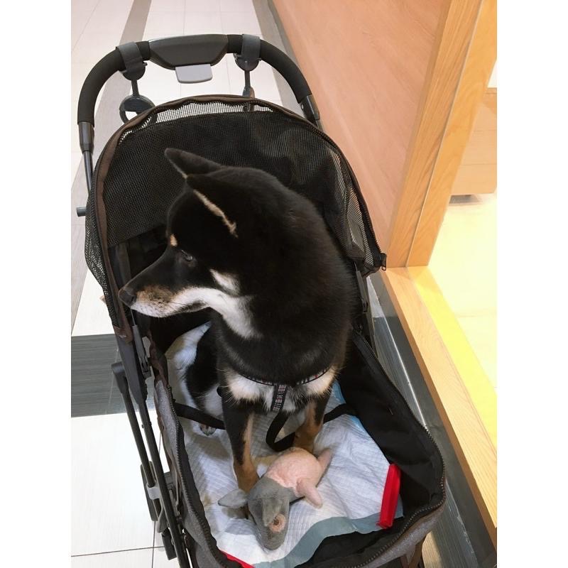 寵物 項圈 背帶 胸背帶 牽繩 狗 犬-細節圖6
