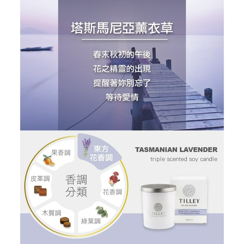 【TILLEY正品附發票】【塔斯馬尼亞薰衣草】澳洲皇家特莉百年香氛【微醺香氛蠟燭】【東方花香調】(240g)-細節圖2