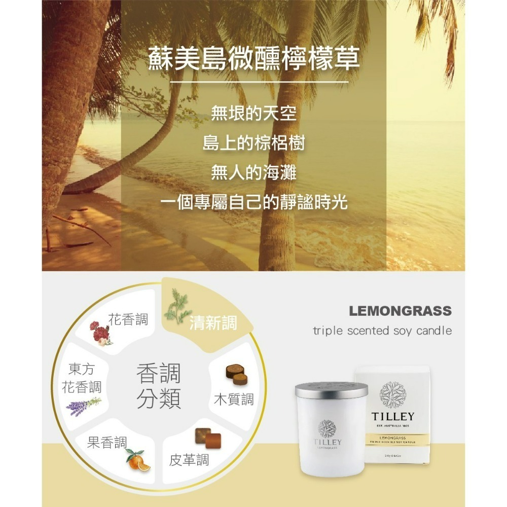 【TILLEY正品附發票】【蘇美島微醺檸檬草】澳洲皇家特莉百年香氛【微醺香氛蠟燭】【清新調】(240g)-細節圖2