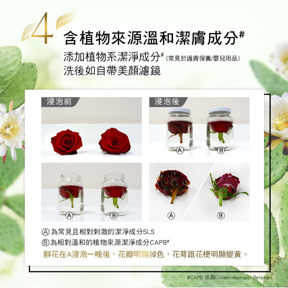 【LUX麗仕正品附發票】【月光仙人掌X雪松香】【植萃香氛沐浴露】【550g】-細節圖7