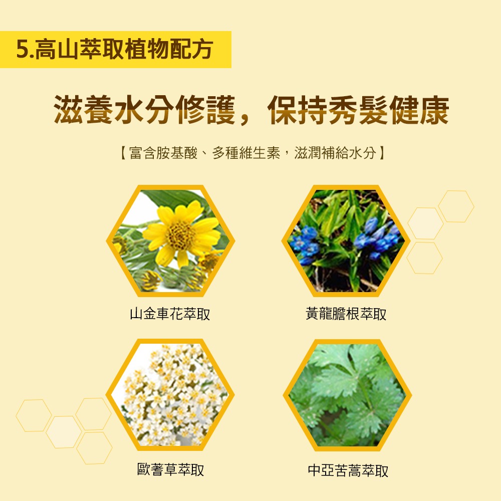 【KERASYS正品附發票】【一般頭皮適用】【黃蜂膠】【可瑞絲 蜂膠活力光澤洗髮精】【1L】-細節圖9