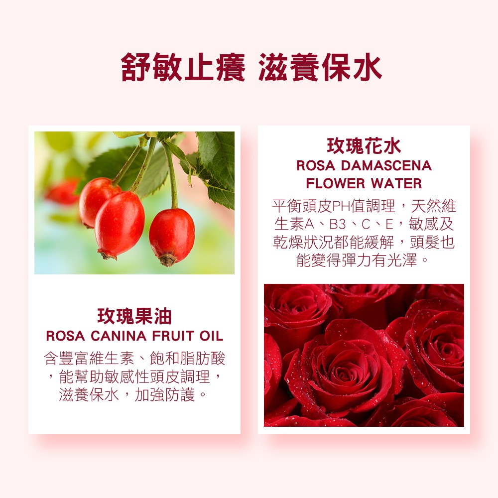 【KERASYS正品附發票】【敏感頭皮適用】【紅蜂膠】【可瑞絲 蜂膠活力光澤洗髮精】【1L】-細節圖4