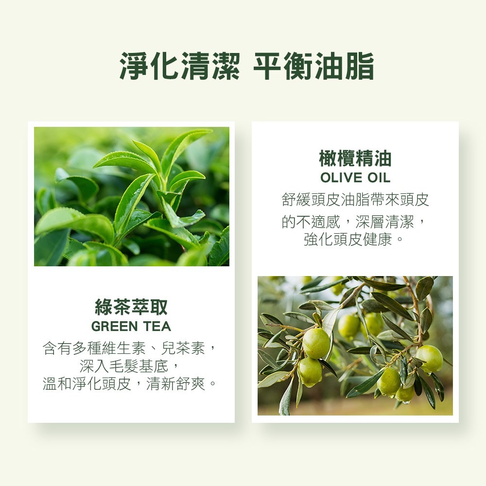 【KERASYS正品附發票】【油性頭皮適用】【綠蜂膠】【可瑞絲 蜂膠活力光澤洗髮精】【1L】-細節圖5