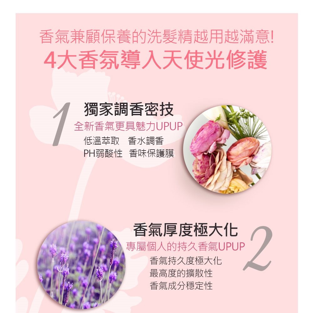 【KERASYS正品附發票】【魅力雛菊】【升級版香氛】【可瑞絲 香氛洗髮精】【600ml】-細節圖5