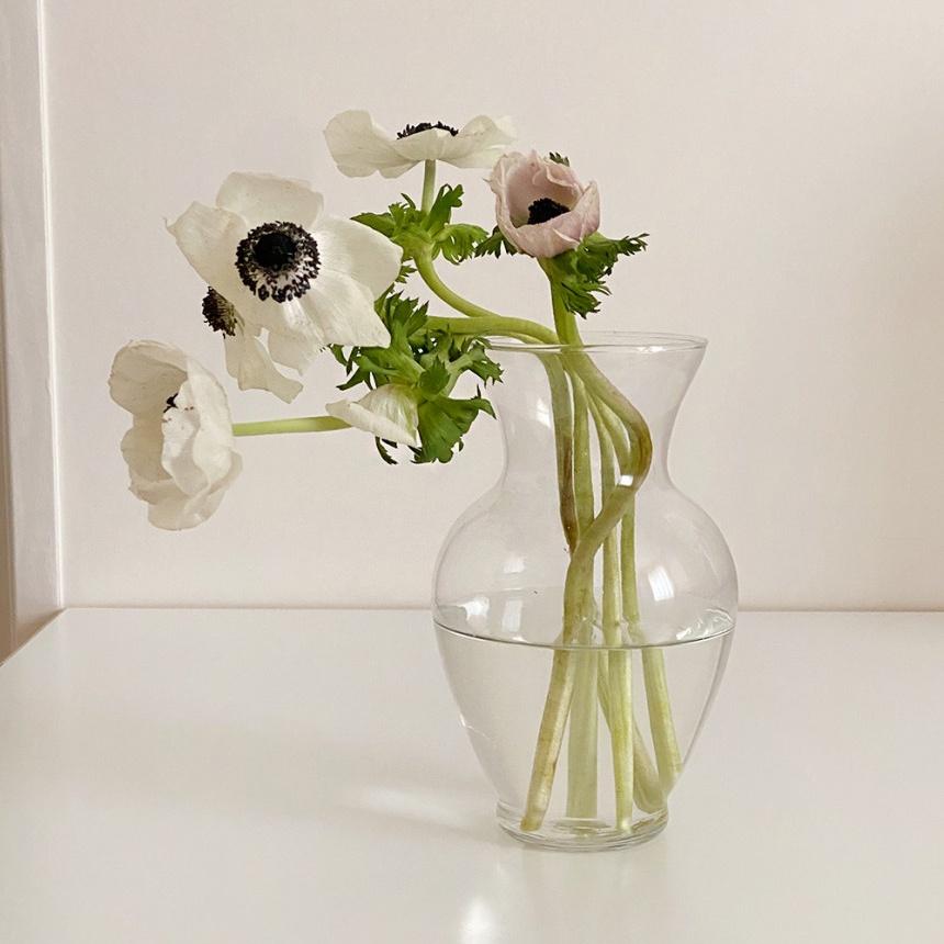 韓國代購 amytable 透明玻璃花瓶 弧形花瓶 鬱金香花瓶 簡單花瓶-細節圖7