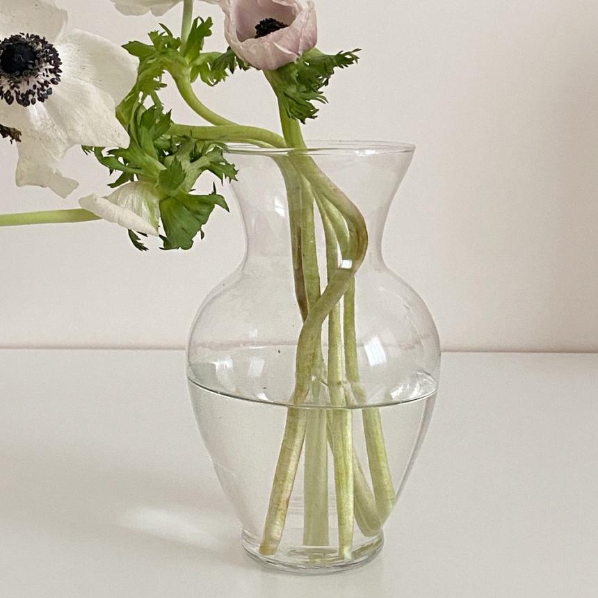 韓國代購 amytable 透明玻璃花瓶 弧形花瓶 鬱金香花瓶 簡單花瓶-細節圖8