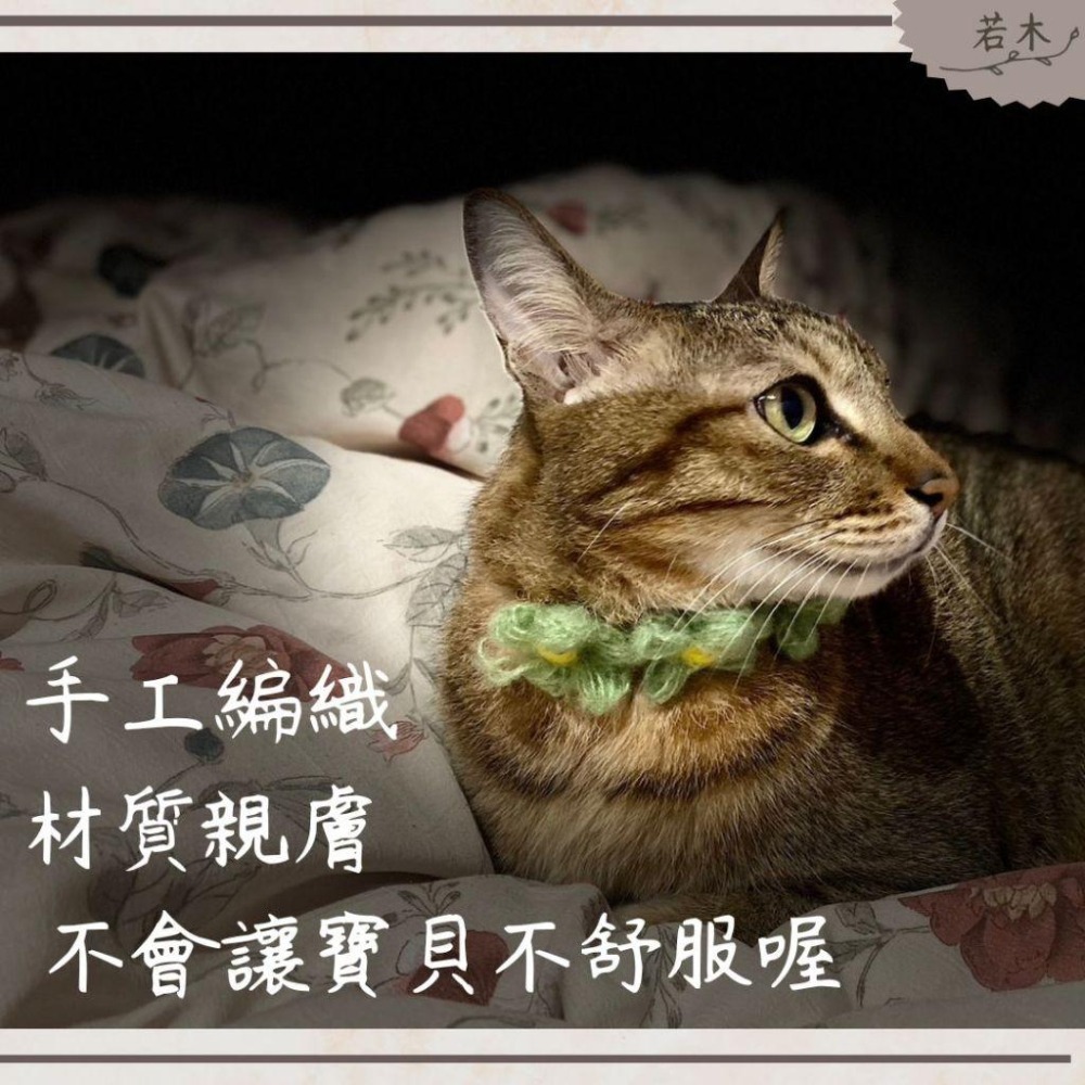 若木【台灣現貨】🐱🐶 手工編織寵物項圈 貓咪可愛圍脖 狗狗頸圈 毛線裝飾-細節圖2