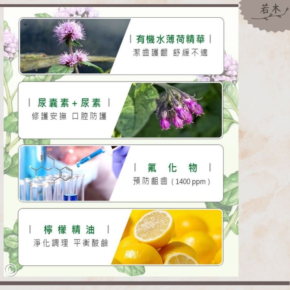 若木【牙膏+漱口水495元】公司貨 德國alkmene天然薄荷口腔保護牙膏100ml 口腔清潔 牙膏 薄荷牙膏 口臭-細節圖5