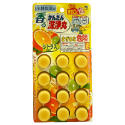 【魔法花園】小林製藥 Sanibon 排水管香氛除垢清潔碇12入 除菌/水蜜桃/柑橘-規格圖1
