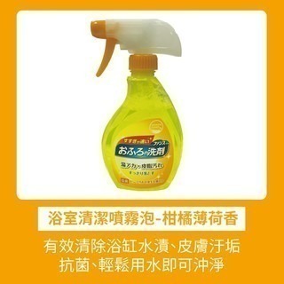 【魔法花園】日本第一石鹼 浴室清潔噴霧 廚房清潔噴霧 排水管清潔劑 洗衣槽清潔劑 洗衣機 廁所馬桶清潔噴霧-細節圖6