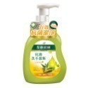 【魔法花園】茶樹莊園 茶樹抗菌  茶樹檸檬洗手慕斯  500ml 現貨 洗手乳-規格圖5