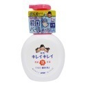 【魔法花園】日本獅王 Lion 洗手慕斯 家庭號500ml  抗菌洗手慕斯 泡泡洗手乳-規格圖7