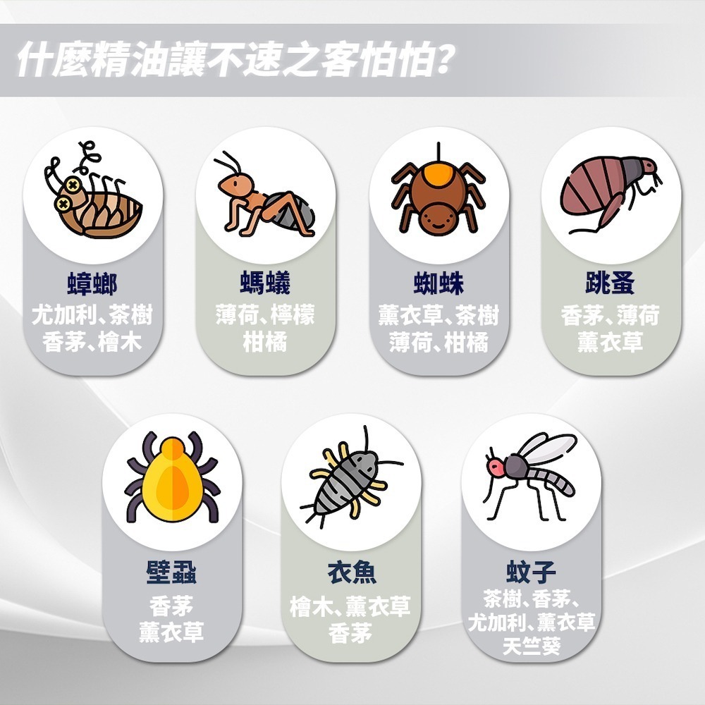 【清檜Hinoki Life】清檜抗菌驅離萬用清潔劑600ml/瓶(貓咪家庭專用)清潔 防蟲 除菌-細節圖5