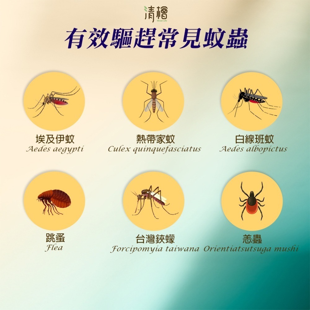 【清檜Hinoki Life】清檜防小黑蚊恙蟲精油噴霧100ml/瓶 防蚊 防蚊液 小黑蚊 防蟲 防小黑蚊-細節圖4