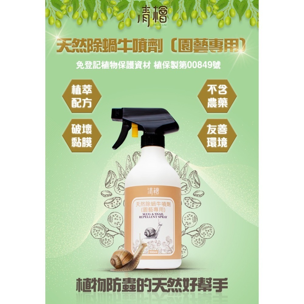 【清檜Hinoki Life】清檜天然除蝸牛噴劑500ml/瓶 蝸牛 福壽螺 蛞蝓 防蝸牛 園藝 盆栽 清檜-細節圖2