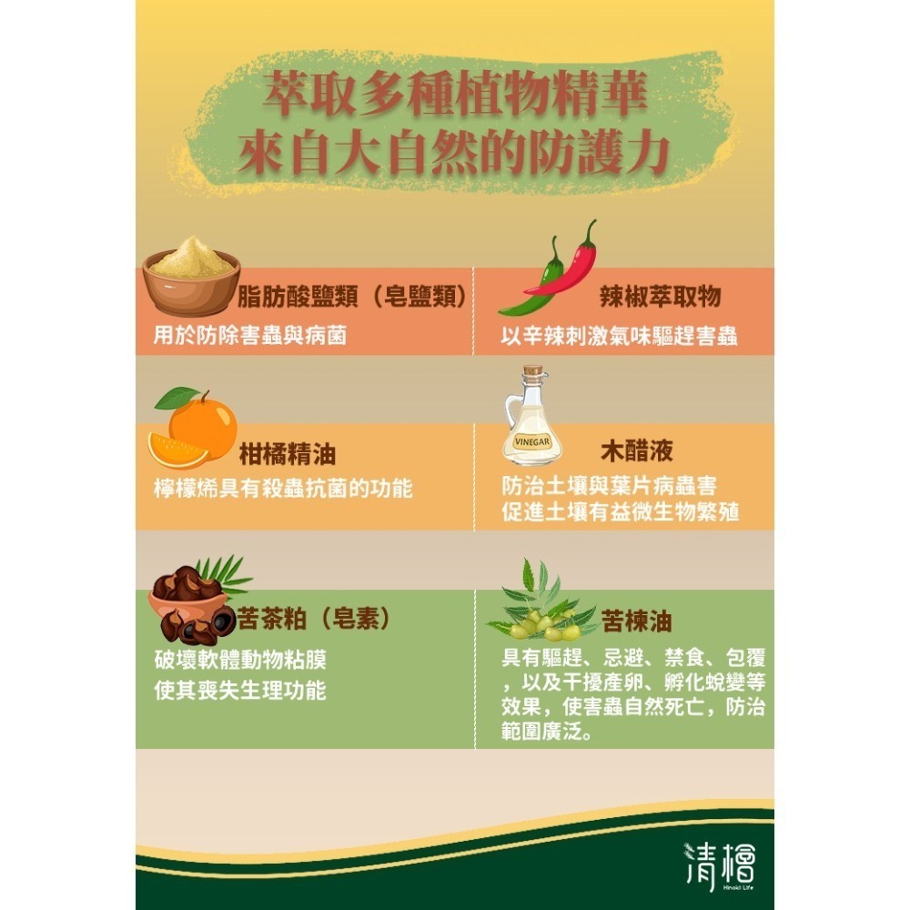 【清檜Hinoki Life】清檜天然除蝸牛噴劑500ml/瓶 蝸牛 福壽螺 蛞蝓 防蝸牛 園藝 盆栽 清檜-細節圖4