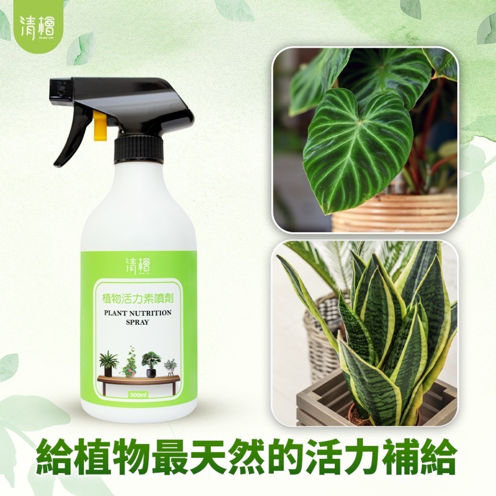 【清檜Hinoki Life】清檜植物活力素噴劑500ml/瓶 植物營養液 肥料 觀葉 開花 園藝 清檜-細節圖6
