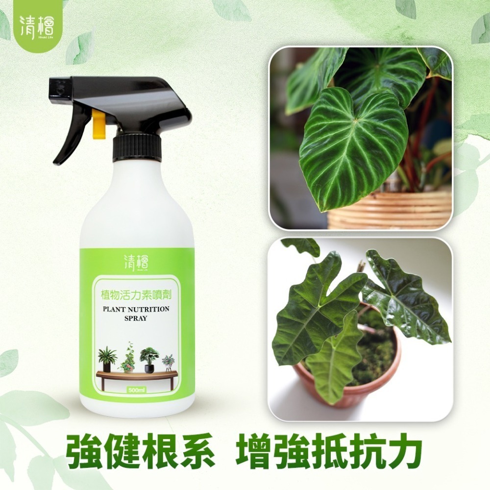 【清檜Hinoki Life】清檜植物活力素噴劑500ml/瓶 植物營養液 肥料 觀葉 開花 園藝 清檜-細節圖5