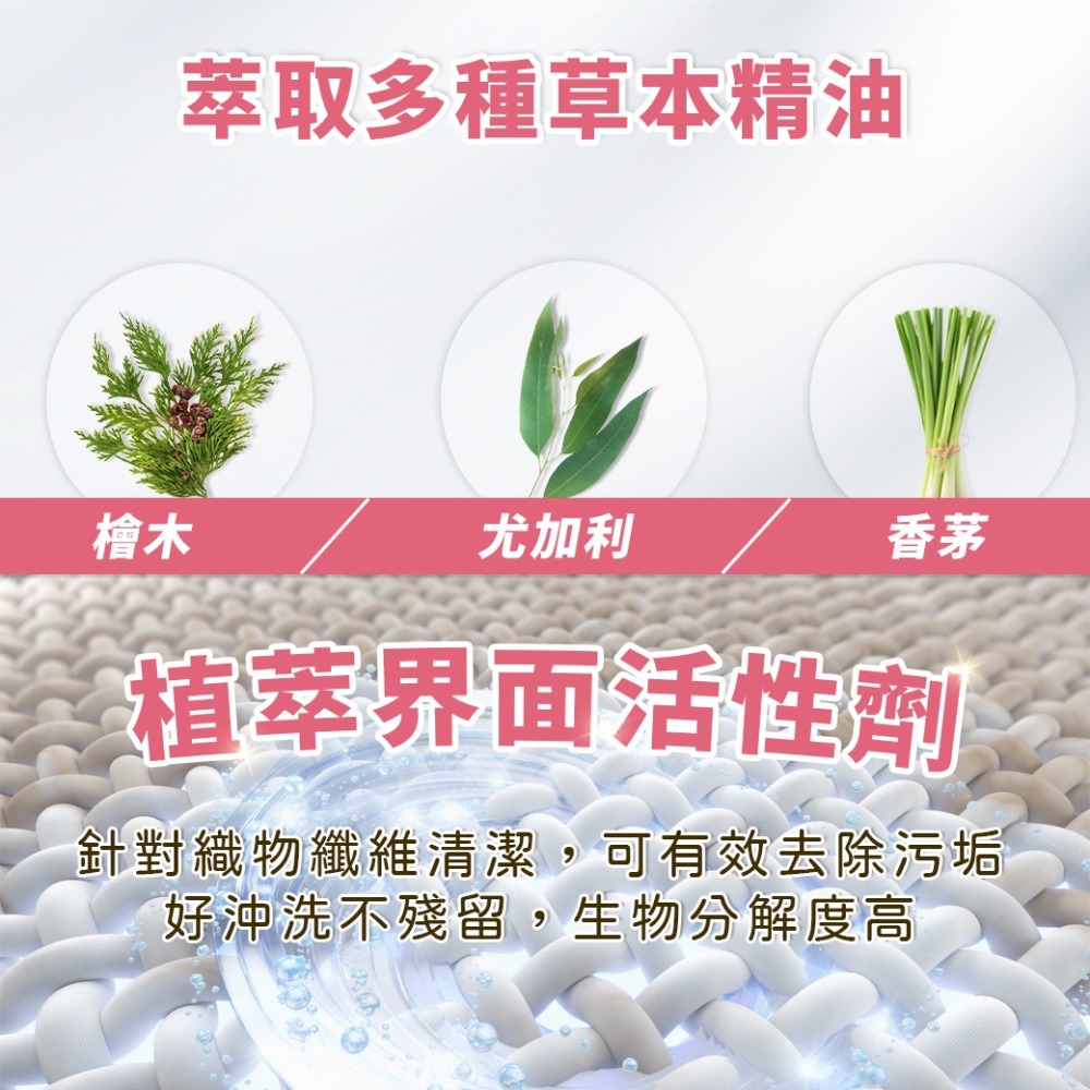 【清檜】清檜酵素衣物去漬筆 10ml/瓶 去漬筆 去污棒 衣物去漬筆 衣物去漬 隨身去漬 咖啡去漬 植萃去漬 旅行攜帶-細節圖7