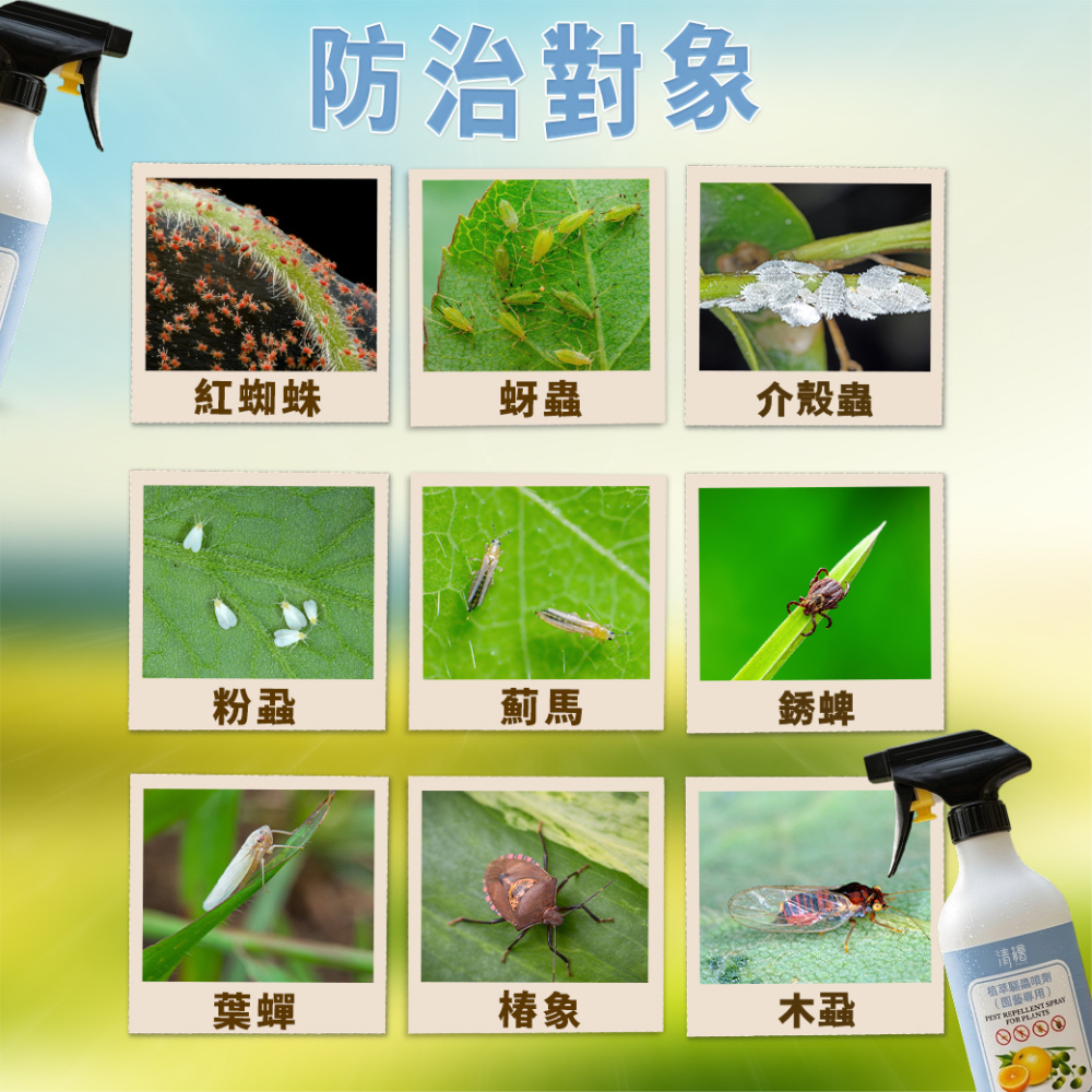 【清檜】清檜植萃驅蟲噴劑(園藝專用) 500ml/瓶 園藝驅蟲 植物驅蟲 盆栽驅蟲 紅蜘蛛 蚜蟲 介殼蟲 盆栽 免稀釋-細節圖3