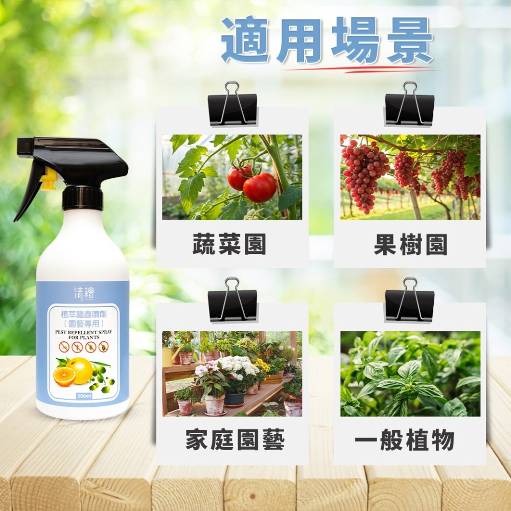 【清檜】清檜植萃驅蟲噴劑(園藝專用) 500ml/瓶 園藝驅蟲 植物驅蟲 盆栽驅蟲 紅蜘蛛 蚜蟲 介殼蟲 盆栽 免稀釋-細節圖6