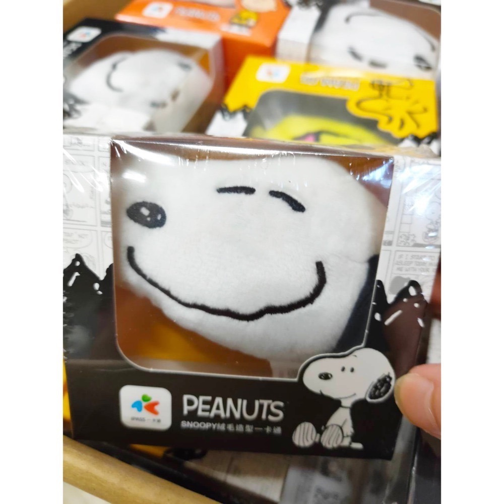 一卡通iPASS-絨毛造型系列 布丁狗 美樂蒂 SNOOPY 查理布朗 胡士托 立體造型TSUMTSUM 奇奇 蒂蒂-規格圖6
