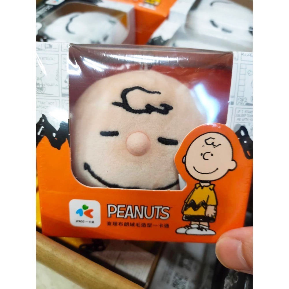 一卡通iPASS-絨毛造型系列 布丁狗 美樂蒂 SNOOPY 查理布朗 胡士托 立體造型TSUMTSUM 奇奇 蒂蒂-規格圖6