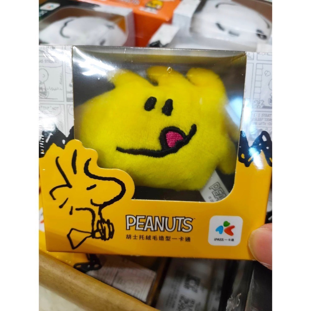 一卡通iPASS-絨毛造型系列 布丁狗 美樂蒂 SNOOPY 查理布朗 胡士托 立體造型TSUMTSUM 奇奇 蒂蒂-規格圖6