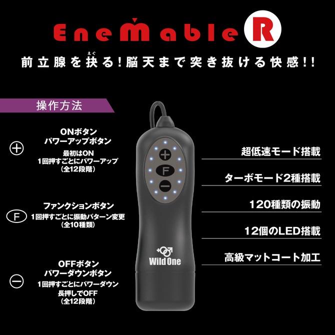 日本Wild One Enemable R 10x12段 前列腺按摩刺激器 Type-3 震動棒按摩器 エネマブルR-細節圖4
