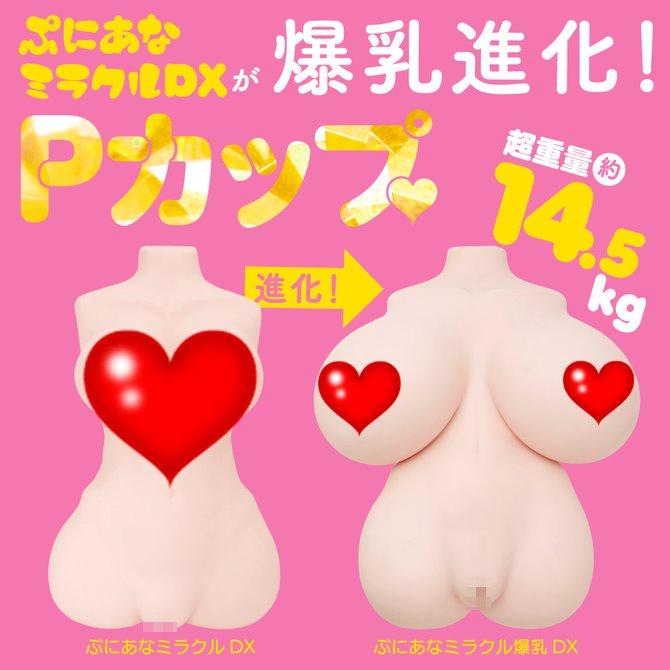 日本EXE 普妮安娜 奇蹟爆乳進化DX 男用自慰套 飛機杯 自慰器情趣用品 ぷにあなミラクル爆乳ＤＸ-細節圖2