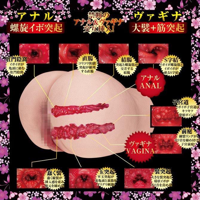 日本NPG 2穴 極上生腰 美谷朱里 男用自慰套 3kg AV女優 極上生腰2穴肌感美尻-美谷朱里-細節圖6