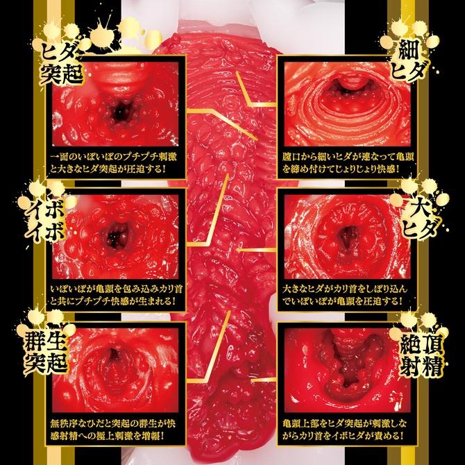 日本NPG 貓耳娘2 監禁飼育 松本一香 男用自慰套 猫耳にゃんにゃん2 監禁飼育 松本いちか 可愛貓貓-細節圖5