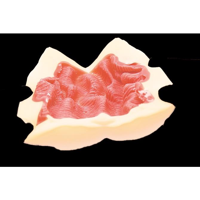 日本TamaToys 騎乘位先輩卑猥皺褶夾吸自慰男用自慰器 憧れの先輩の天才的な杭打ちピストン騎乗位-細節圖6