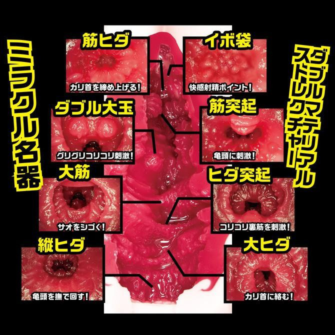 日本NPG 現貨 名器証明No.012 深田詠美 名器の証明ファイル No.012 深田えいみ-細節圖5