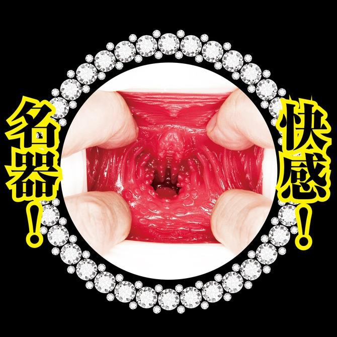 NPG 美人女僕奉仕夾吸自慰器 樞木葵 AV女優 美人メイド 名器で即ハメご奉仕! 枢木あおい 女優名器 女僕系列-細節圖5