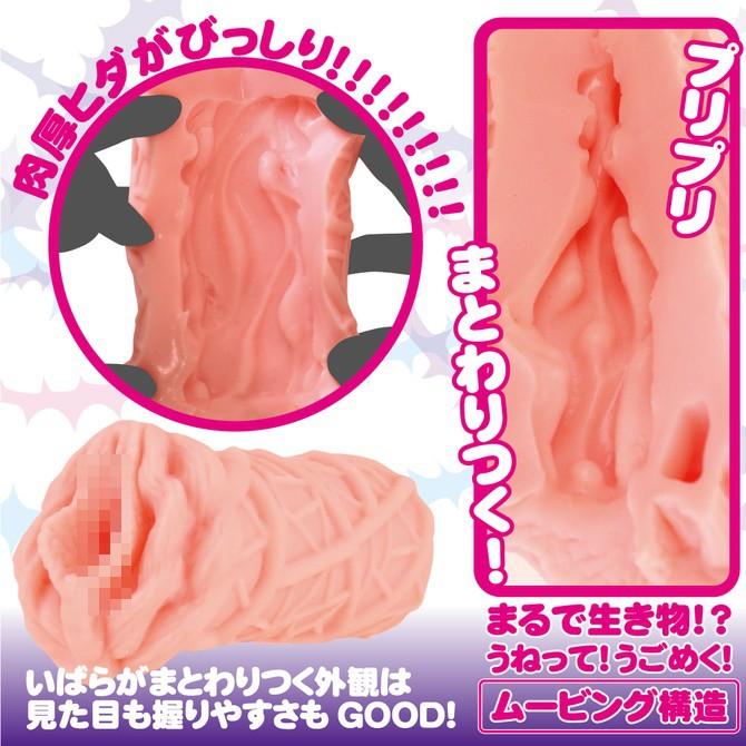 Teppen Pricle Prickle 水平旋轉男用自慰套 Teppen Prickle－プリッくる－-細節圖5