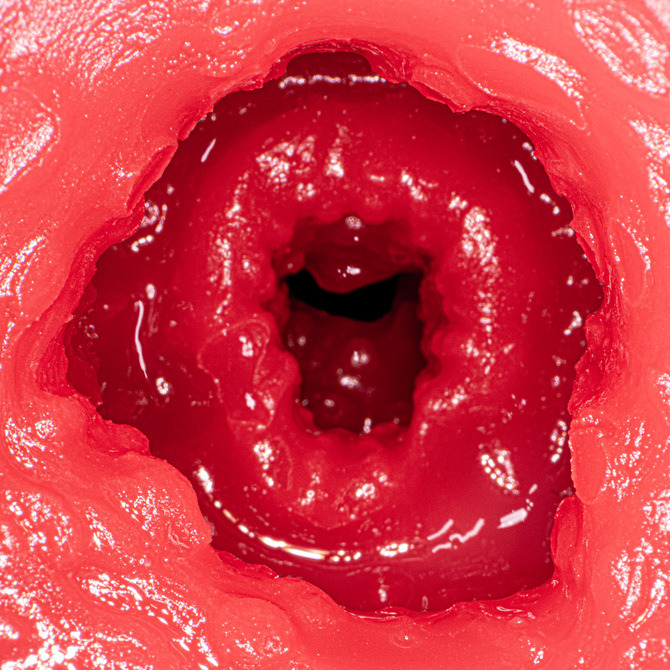 日本NPG 新熟女之星JULIAの陰部再現 新 熟女の星 JULIAの秘部完全レプリカ AV女優 JULIA-細節圖3