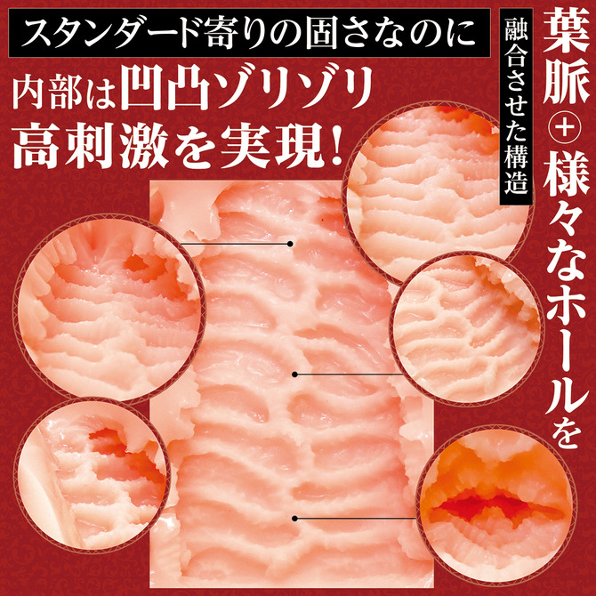 日本TamaToys AI構思理想 AIV NO.05 AIVーアイヴー NO.05-細節圖4