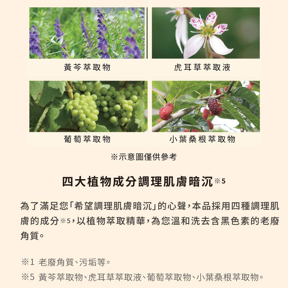 日本TENGA iroha 依柔華私密沐浴乳 [FOAM TYPE/泡沫型] 補充包-細節圖7