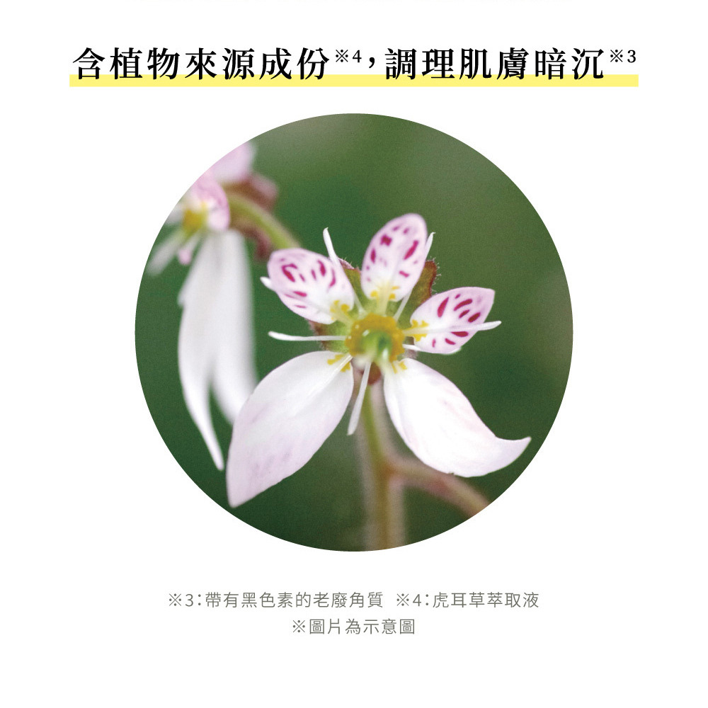 日本TENGA iroha 依柔華私密泡沫型沐浴乳【大馬士革薔薇&洋葵香】150ml-細節圖4