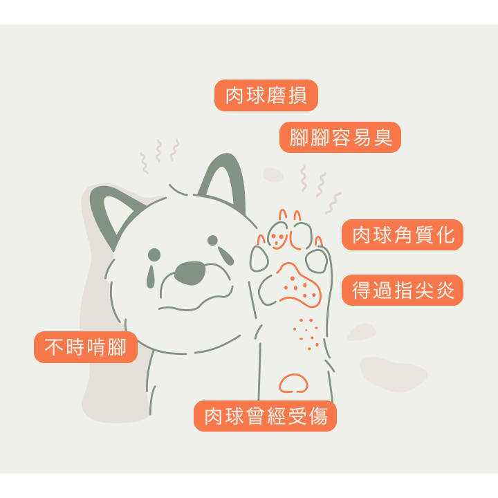 dogum逗恩 辣木厚掌嫩足霜 30ml 奇蹟辣木 修護受損部 提升肌膚穩定性 肉球 關節 肌膚 脆弱部位使用 MIT-細節圖2