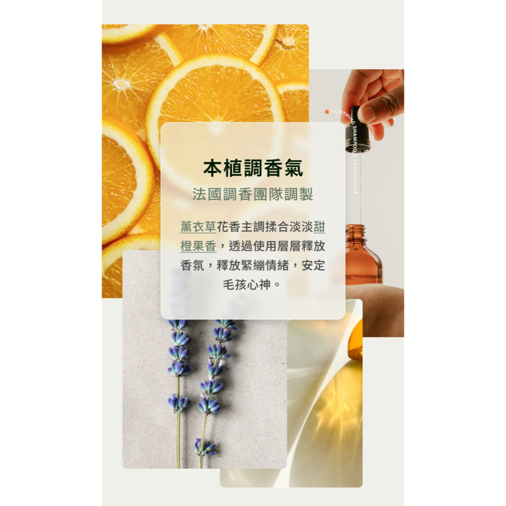 dogum逗恩 辣木厚掌嫩足霜 30ml 奇蹟辣木 修護受損部 提升肌膚穩定性 肉球 關節 肌膚 脆弱部位使用 MIT-細節圖7