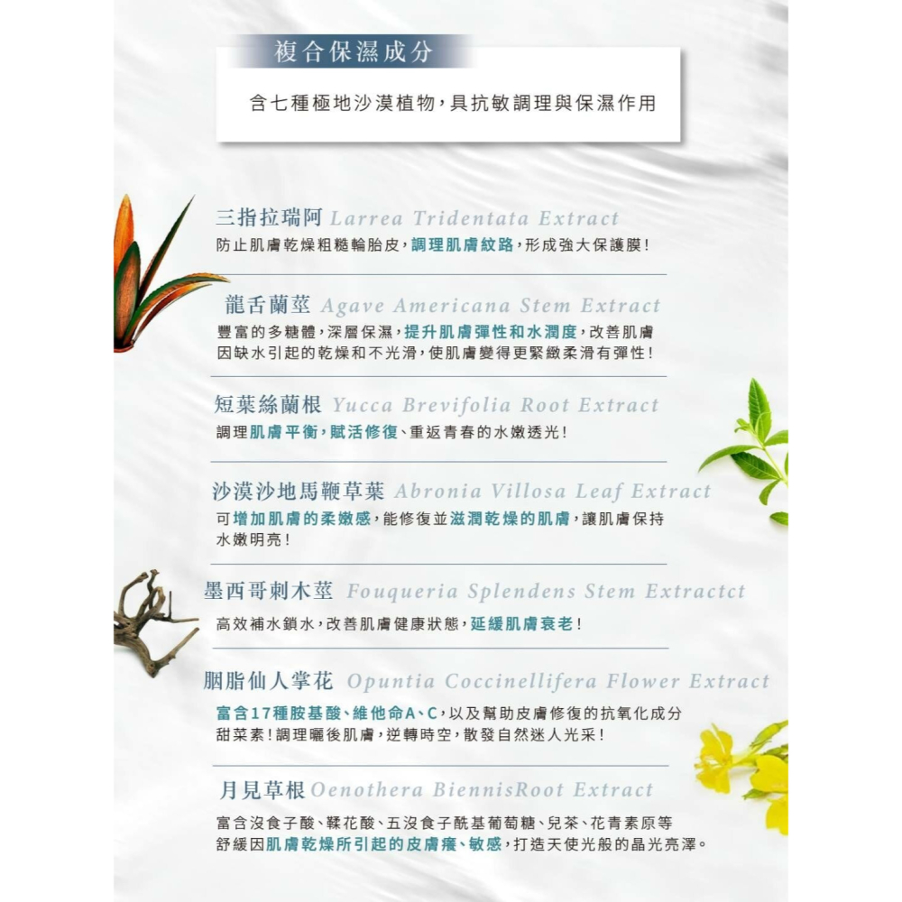 同志潤滑保養 boy romance 約會男孩 蝶蝶胸膜 粉刺 痘痘 暗沉 補水 保濕 完美胸肌-細節圖5