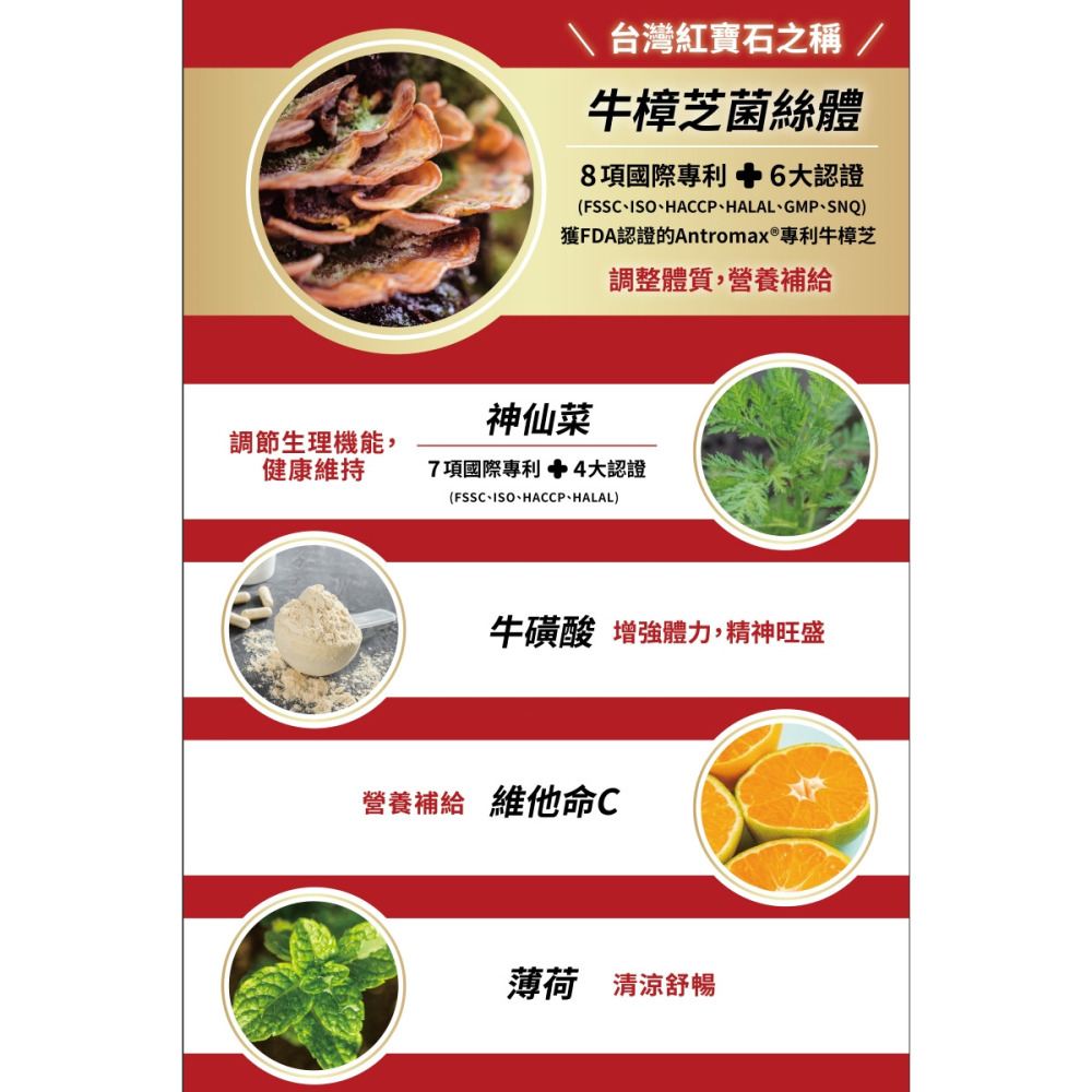 樹飛雪 牛樟芝元氣能量球 50克/袋 牛樟芝元氣能量球 20顆一包 牛樟芝 元氣能量球-細節圖3