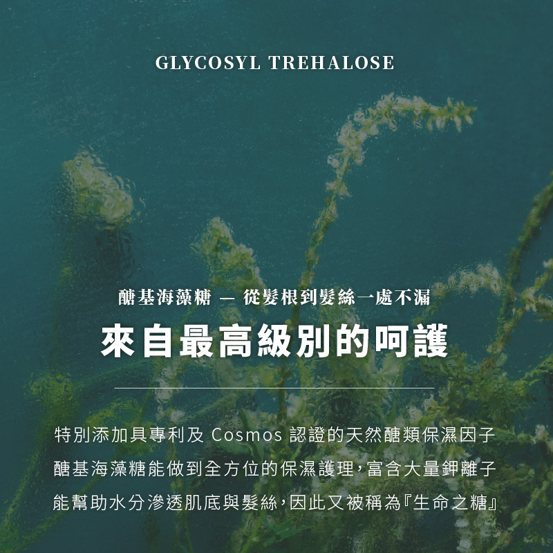 MYSTERY秘境 秘境麝香玫瑰費洛蒙沐浴露 500ml SPA沐浴乳 深層潔淨 保濕補水 敏感肌適用-細節圖6